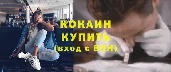 сатива Алзамай