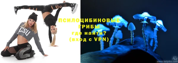 сатива Алзамай